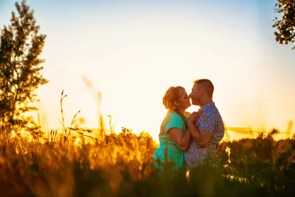 Romantisches Paar steht und küsst im Hintergrund Sommerwiese Sonnenuntergang — Stockfoto