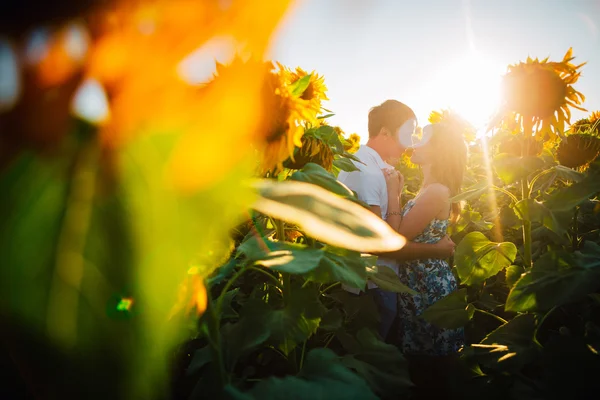 Pareja romántica de pie y besándose en el fondo campo de verano girasol puesta de sol —  Fotos de Stock