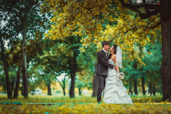 Hermosa pareja joven de pie en el bosque de fondo — Foto de Stock