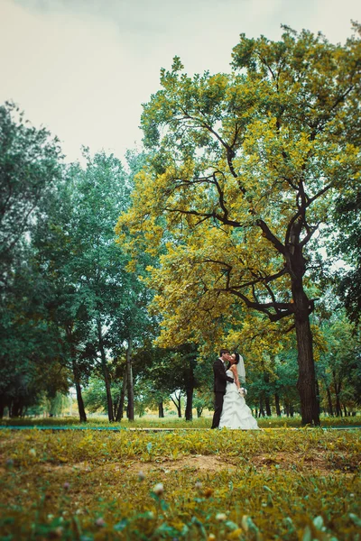 Beau jeune couple debout sur fond forêt — Photo