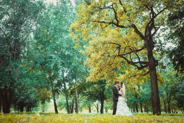 güzel genç çift arka plan orman üzerinde durmak