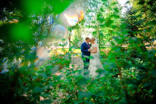 Belo jovem casal stand na floresta de fundo — Fotografia de Stock