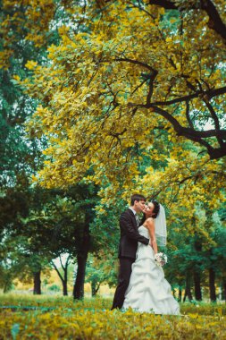 güzel genç çift arka plan orman üzerinde durmak