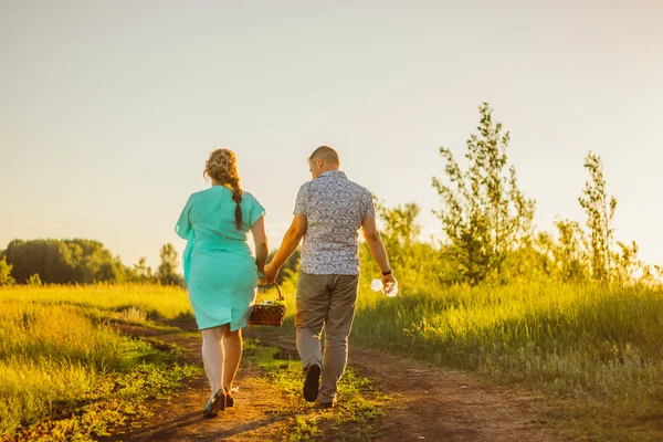 Romantiska par gå och hålla händerna på bakgrunden Sommaräng — Stockfoto
