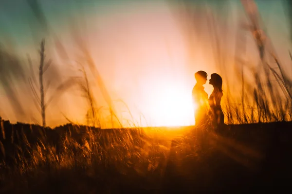 Romantikus silhouette pár állt, és a háttérben nyári rét sunset csók — Stock Fotó