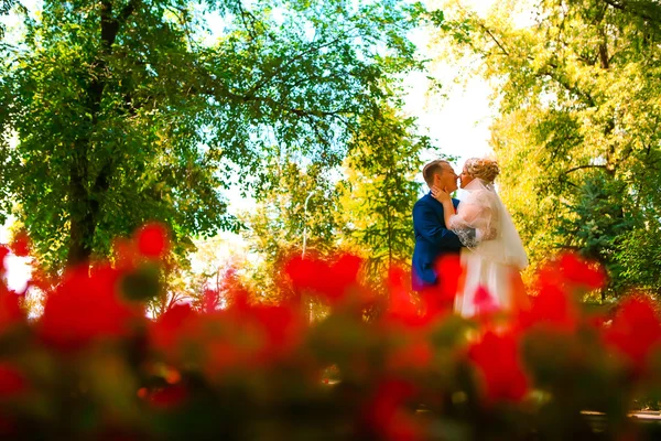 Hermosa pareja joven de pie en el bosque de fondo —  Fotos de Stock