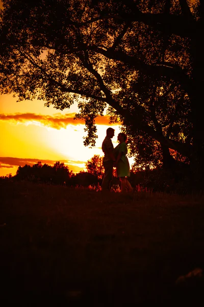 Pareja romántica de pie y besándose en el fondo verano pradera puesta de sol —  Fotos de Stock