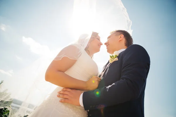 Happy couple bride and groom embracing they stand on background nature close-up — Stock Photo, Image