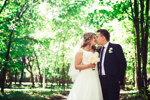 Feliz pareja novia y novio abrazando ellos stand en un bosque — Foto de Stock