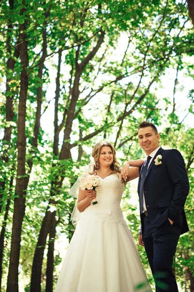 Happy couple bride and groom embracing they stand in a forest — Stock Photo, Image