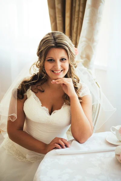 Elegance cute bride is posing on the background room — стоковое фото