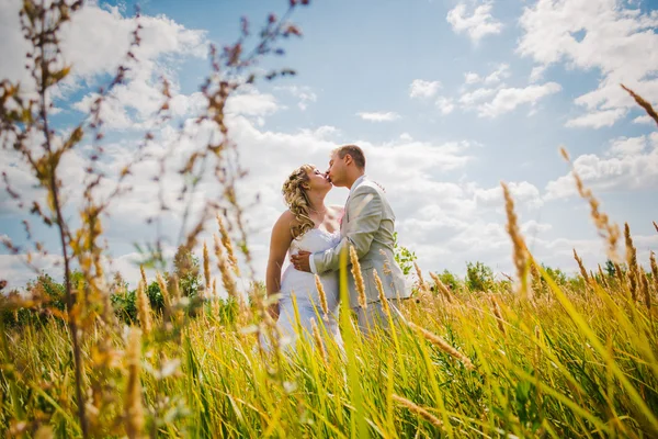 婚礼在草甸的背景上接吻的美丽年轻夫妇 — 图库照片