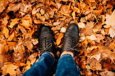 Kadın bacakları karanlık yerinde duran bir sarı akçaağaç yaprakları sonbahar parka düşmek.