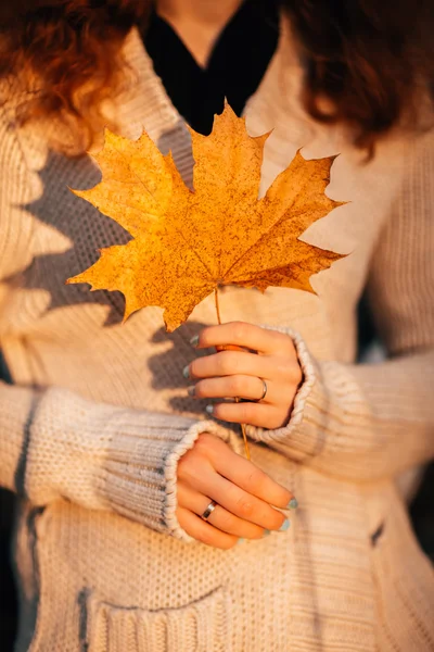 Menina detém folhas de outono no fundo da floresta — Fotografia de Stock