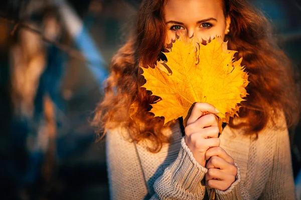 Menina bonita em um fundo floresta de outono — Fotografia de Stock