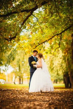 Genç gelin ve damat sonbahar manzara arka plan üzerinde