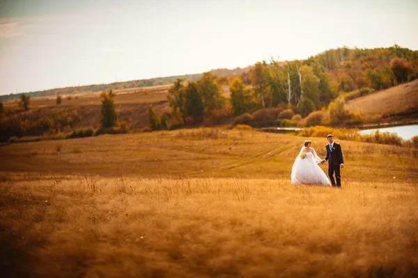 Jeune mariée et marié sur le fond de champ — Photo