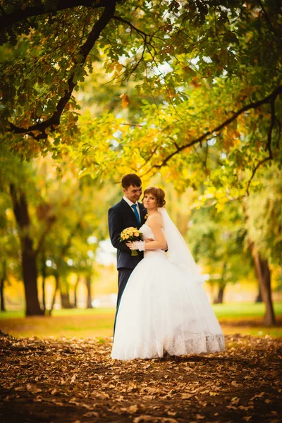 Young bride and groom on the background of autumn landscape — Stock Photo, Image