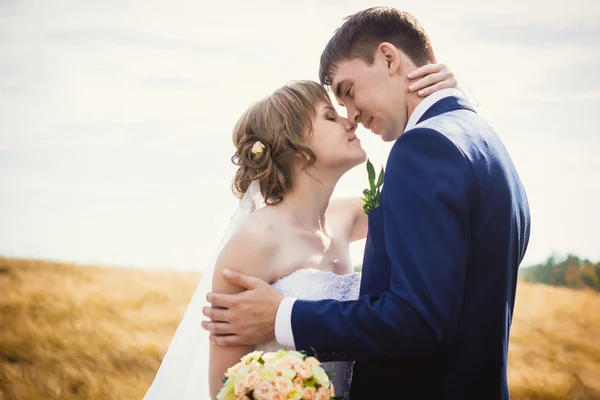 Young bride and groom on the background of field — Stock Photo, Image