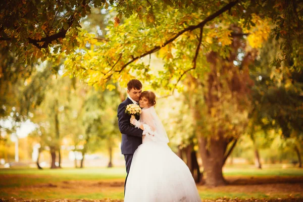 Jeune mariée et marié sur le fond du paysage d'automne — Photo