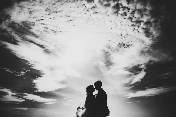 Silhouetten van jonge bruid en bruidegom op de hemel achtergrond — Stockfoto