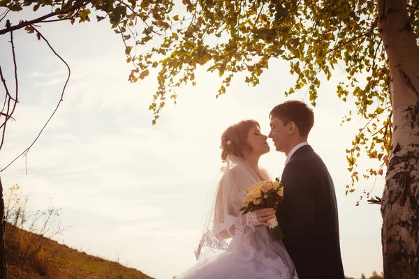 Giovani sposi sullo sfondo del lago — Foto Stock