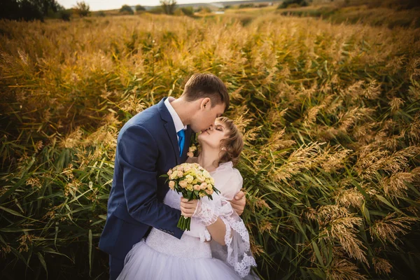 Jonge bruid en bruidegom op de achtergrond van veld — Stockfoto