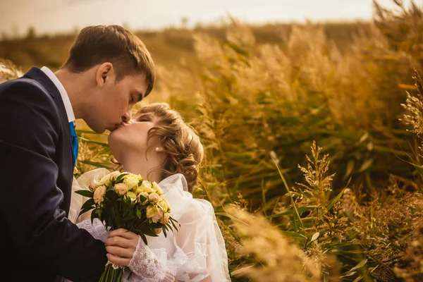 Jeune mariée et marié sur le fond de champ — Photo