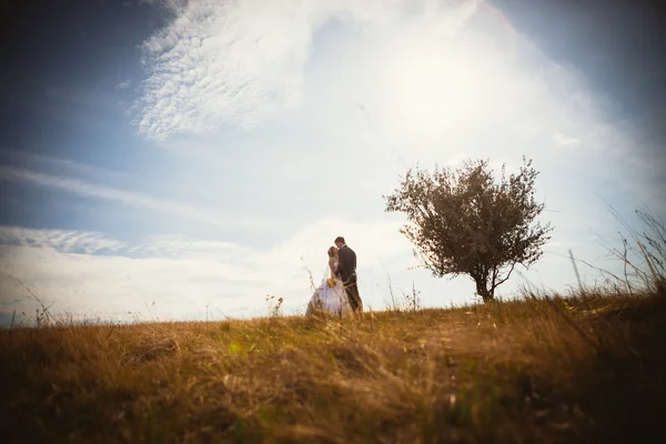 Молодая невеста и жених на фоне поля — стоковое фото