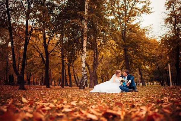 Jonge bruid en bruidegom op de achtergrond van de herfst landschap — Stockfoto