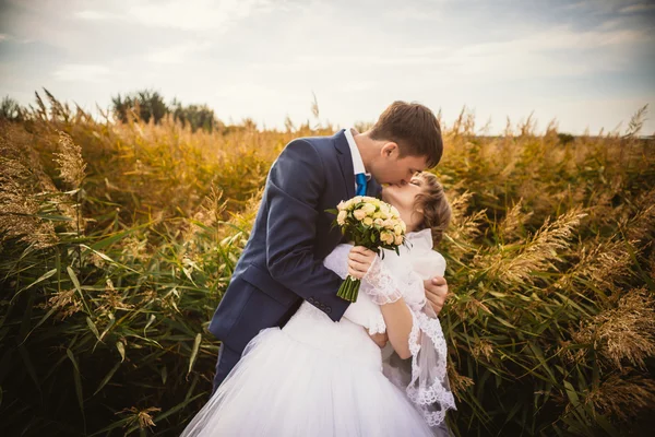 Joven novia y novio en el fondo del campo — Foto de Stock