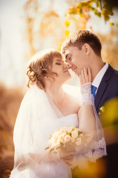 Young bride and groom on the bluer background — Stock Photo, Image