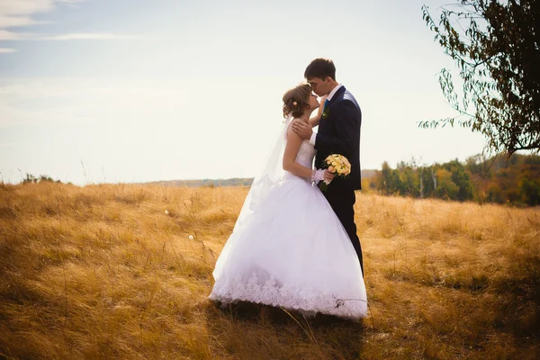 Jeune mariée et marié sur le fond de champ — Photo