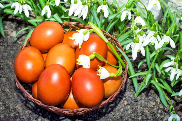 Huevos de Pascua en una canasta de mimbre y nevadas. —  Fotos de Stock