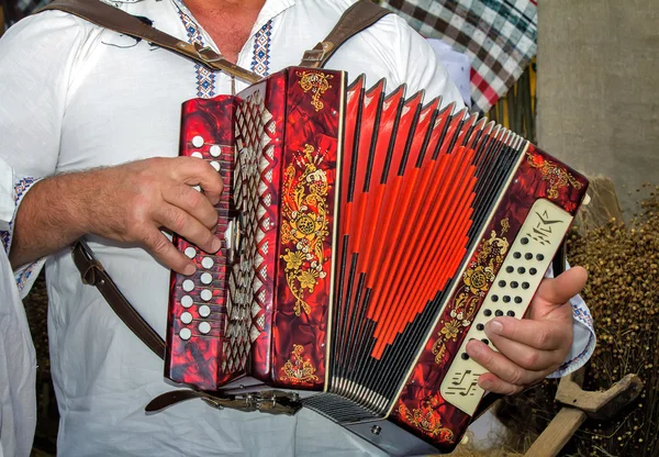 Orosz népi hangszer - a harmonika. — Stock Fotó