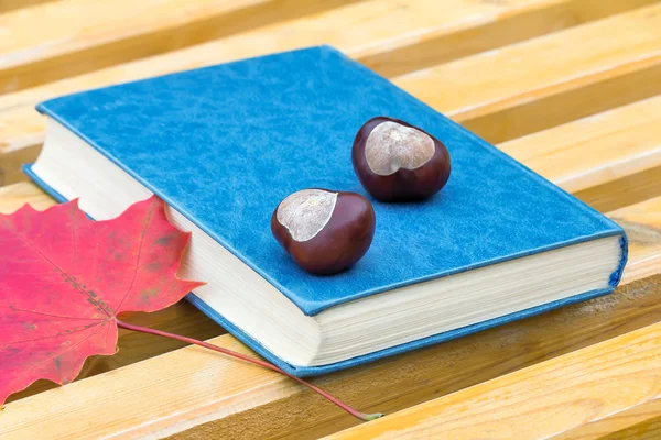 Books, chestnuts and fallen leaves on a Park bench. — Stock Photo, Image