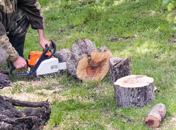 Menschen bei der Arbeit: Mann sägt Bäume. — Stockfoto