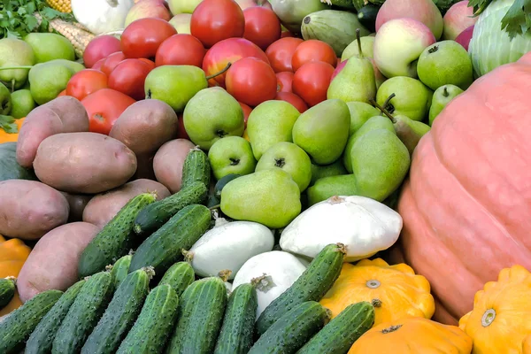 Colheita de legumes é vendida na feira . — Fotografia de Stock