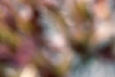 Arka plan görüntüsü ile renk bulanık şekiller.