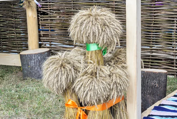 Unas cuantas gavillas de trigo decoradas con cintas .. — Foto de Stock