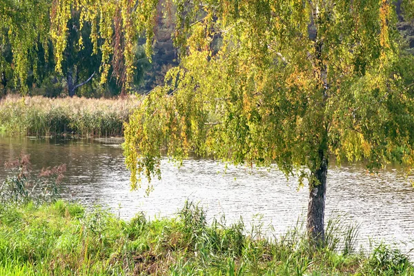 Paesaggio con l'immagine del fiume e la natura circostante — Foto Stock