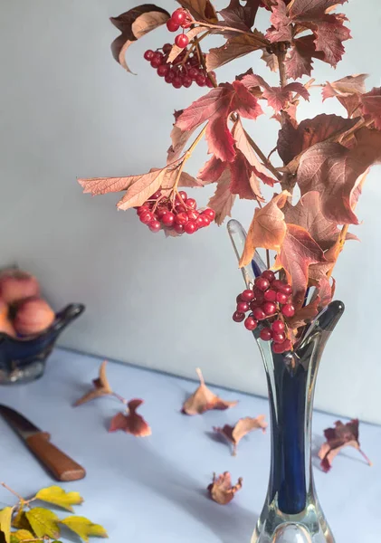Sur Table Dans Vase Verre Est Une Branche Viorne Avec — Photo