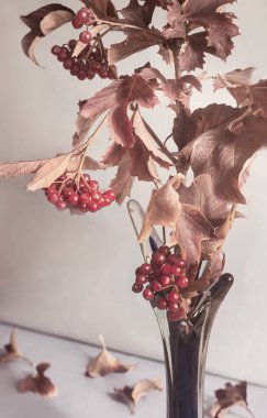 Masanın üzerinde cam bir vazonun içinde olgun böğürtlenler ve kırmızı sonbahar yapraklarıyla viburnum var. Ön manzara, yakın plan..