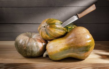 Soğuk bodrumda olgun balkabakları ahşap bir rafta saklanır. Ön görünüm, yakın plan, alanı kopyala.