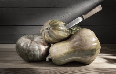 Soğuk bodrumda olgun balkabakları ahşap bir rafta saklanır. Ön görünüm, yakın plan, alanı kopyala.