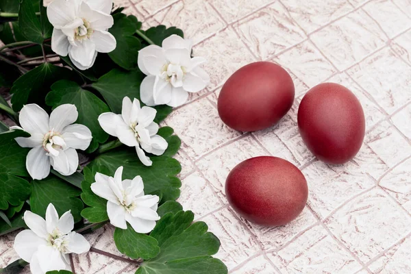 Tres huevos rojos de Pascua y narcisos florecientes —  Fotos de Stock