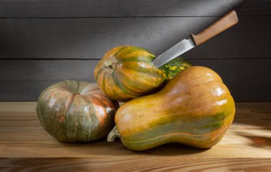 Soğuk bodrumda olgun balkabakları ahşap bir rafta saklanır. Ön görünüm, yakın plan, alanı kopyala.