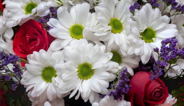 Güzel bir buketteki kasımpatı çiçeği..