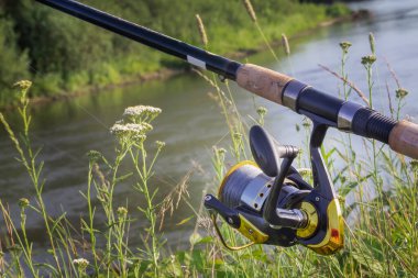 Suyun üzerindeki güzel nehrin kıyısında olta ve makarayla rahat balık yakalamak için İngiliz olta takımı kuruldu..