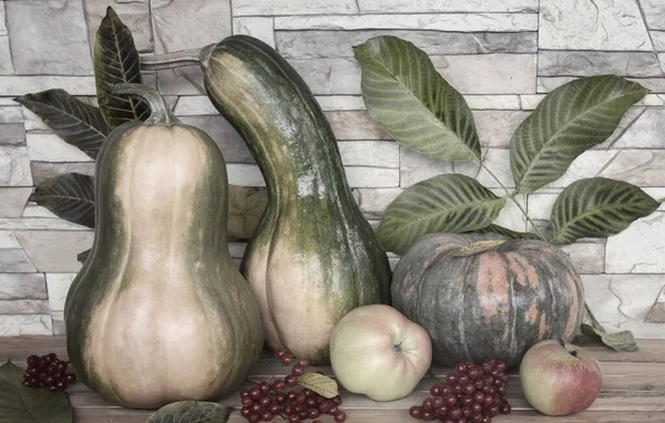 Herfst stilleven: pompoenen, appels, viburnum bessen — Stockfoto